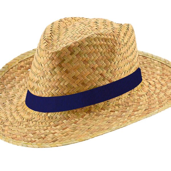 Sombrero Polo